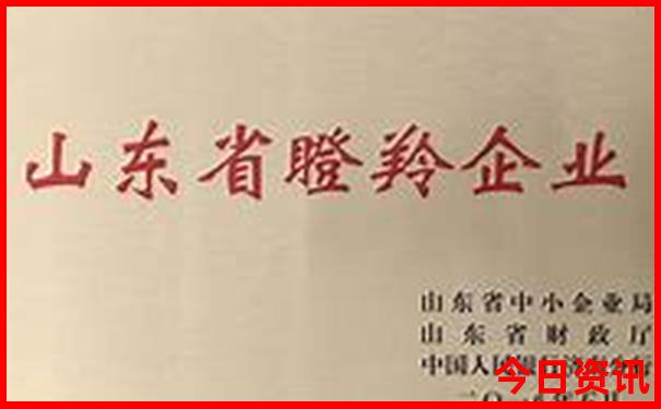 深圳适合老人游玩的景点推荐